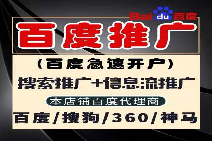网站sem托管服务提供商的成功案例分析